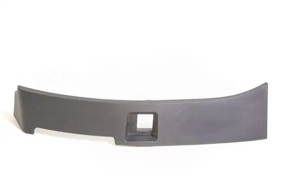 Rear/tail light trim molding