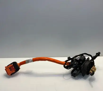 Porsche Cayenne (92A) Other wiring loom 7P5971676N 22690628 24102016