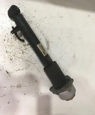 BMW X5 E70 Rear shock absorber/damper 6781929