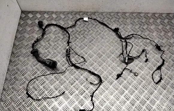 BMW X5 E70 Front door wiring loom 9242070 7184660