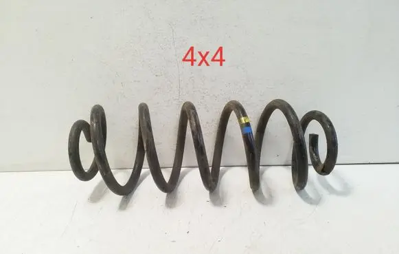 Rear coil spring