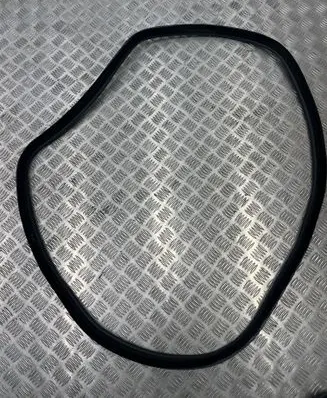 BMW 4 F32 F33 Rear door rubber seal (on body) 7401894