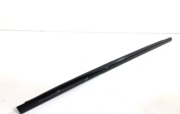 BMW X4 G02 Loading door glass trim molding 
