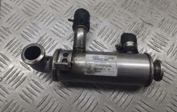 Mazda 3 I EGR valve cooler