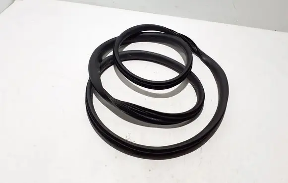 Renault Scenic E-Tech V Rear door rubber seal (on body) 769236427R
