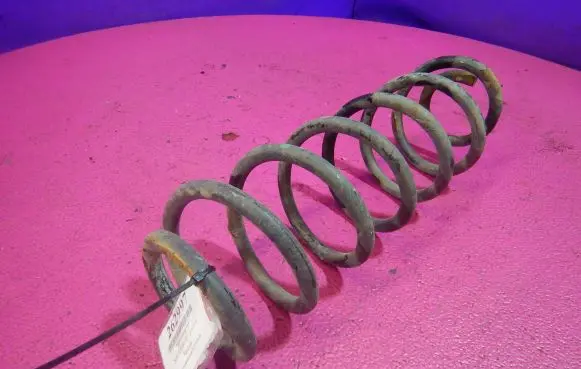 Seat Toledo II (1M) Rear coil spring