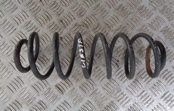 Rear coil spring