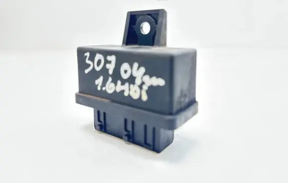 Peugeot 307 Fuel injection pump control unit/module 240107