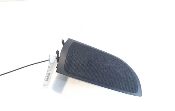 Front door high frequency speaker