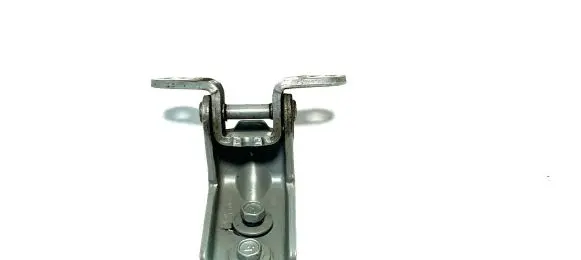 Front door lower hinge