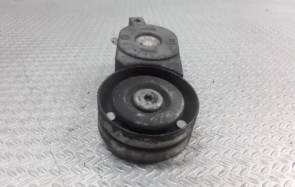 Skoda Fabia Mk1 (6Y) Generator/alternator belt tensioner 038903315AB