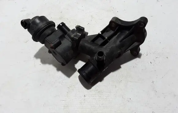 Thermostat/thermostat housing