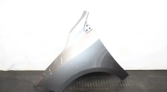 Renault Fluence Fender