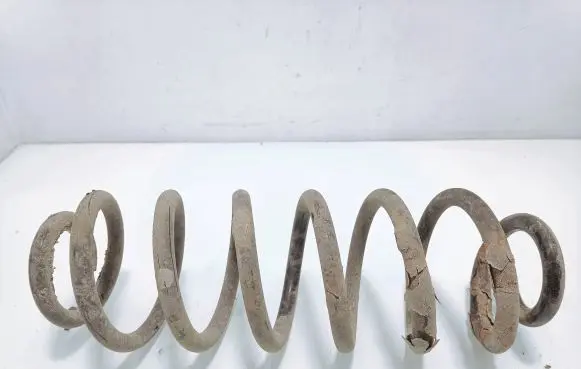 Volkswagen PASSAT B6 Rear coil spring