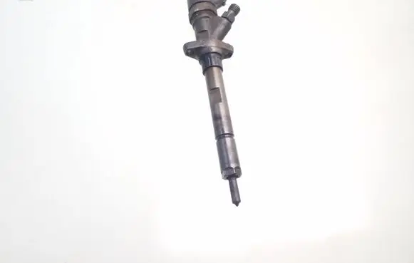 Peugeot 406 Fuel injector 9637277980 0445110036