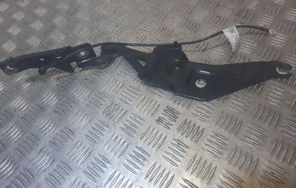 BMW X6 E71 Engine bonnet/hood hinges 720862801