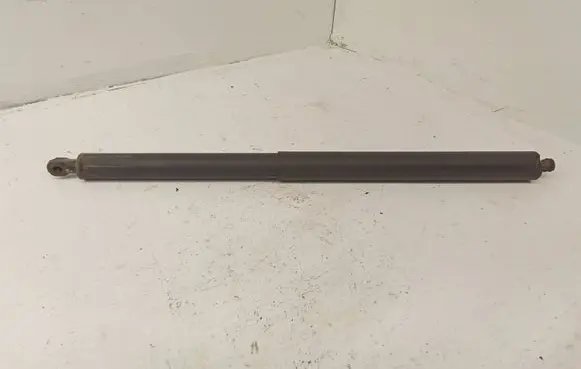 Tailgate/trunk strut/damper