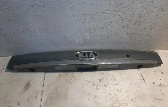 Trunk door license plate light bar