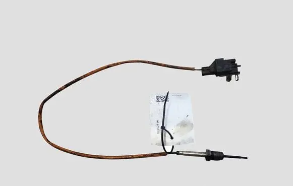Jaguar XF X250 Exhaust gas temperature sensor 9X2312B591DC