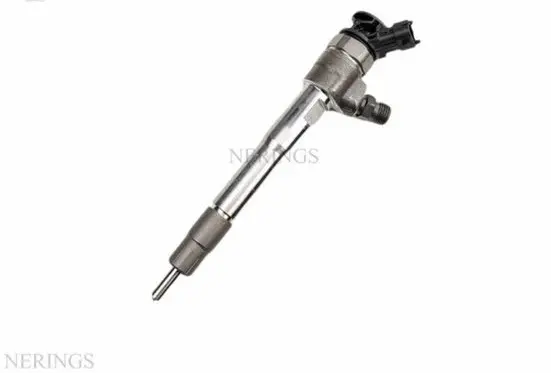 Renault Espace V (RFC) Fuel injector 0445110896