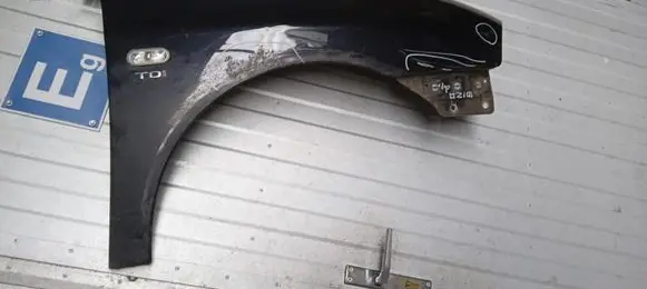 Seat Ibiza III (6L) Fender