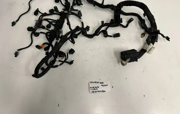 Peugeot 508 Engine installation wiring loom 9834202280