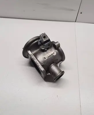 EGR valve