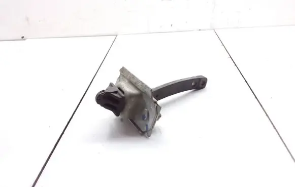 Ford Ranger Rear door check strap stopper