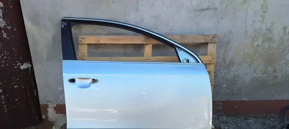 Volkswagen PASSAT B6 Front door