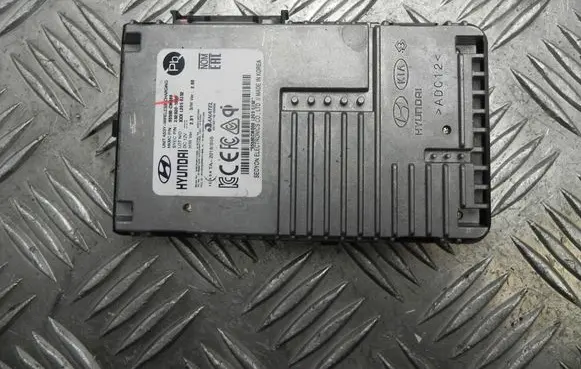 Hyundai Kona I Other control units/modules 95560CM000 G4690