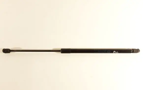 Tailgate/trunk strut/damper