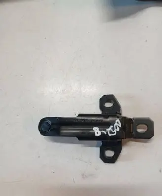 Tailgate/trunk/boot hinge