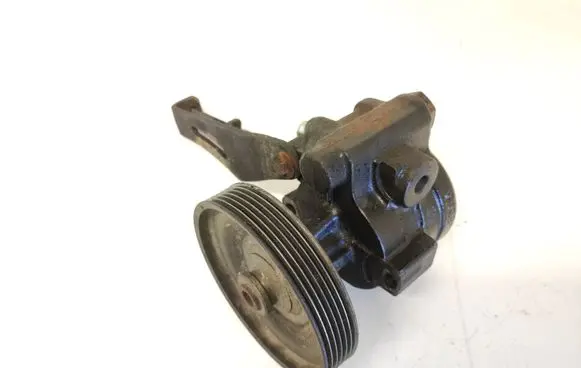 Renault 19 Power steering pump 784607