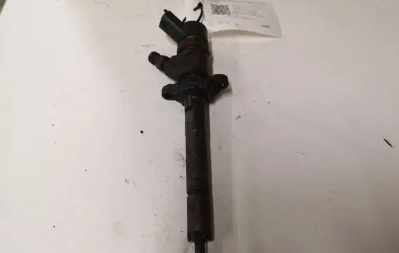 Citroen C4 I Fuel injector 0445110259