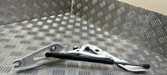BMW 2 F22 F23 Tailgate/trunk/boot hinge 7304557
