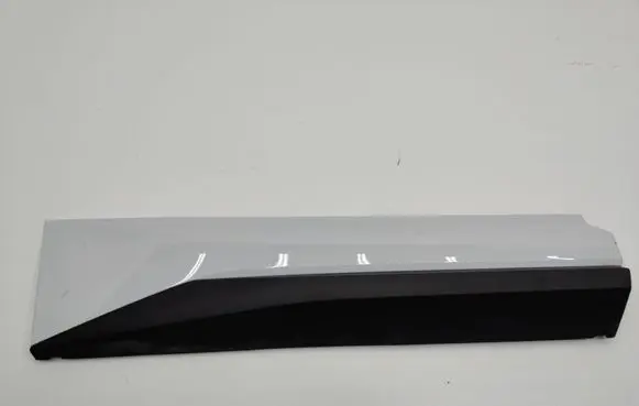 Skoda Kodiaq Rear door trim (molding) 565854950A