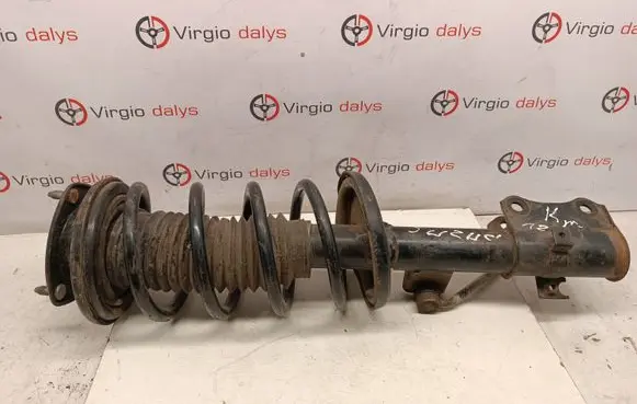 Suzuki Grand Vitara II Front shock absorber/damper