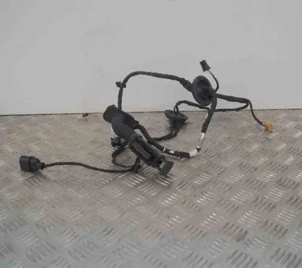 Rear door wiring loom