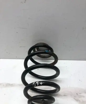 Volkswagen PASSAT B5.5 Rear coil spring