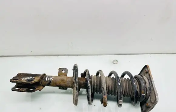 Citroen Jumpy Front shock absorber with coil spring