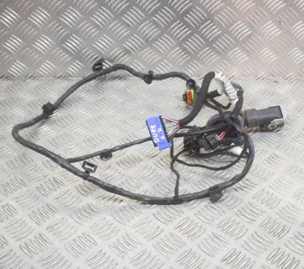 Other wiring loom