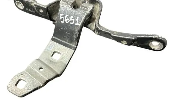 BMW 5 GT F07 Tailgate/trunk/boot hinge 7200533