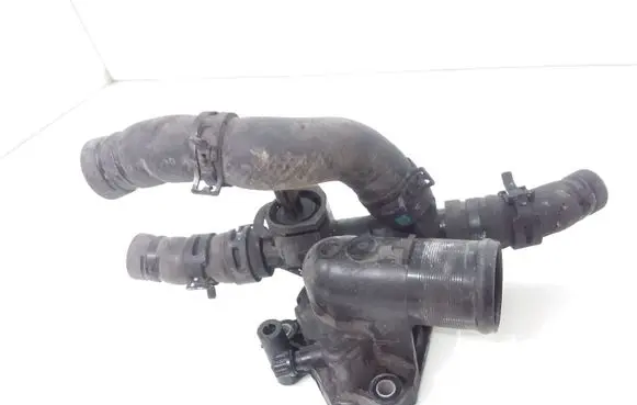 Thermostat/thermostat housing
