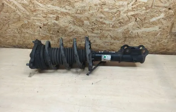 KIA Niro Front shock absorber with coil spring 54651A0200
