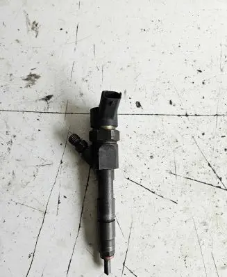 Renault Kangoo I Fuel injector 0445110144