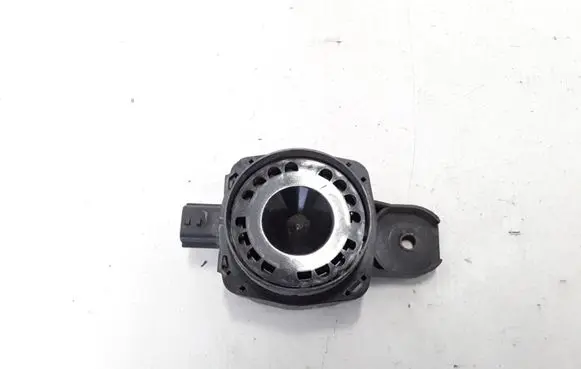 Renault Scenic III - Grand scenic III Alarm system siren 256400001R
