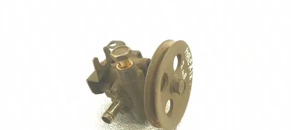 Ford Maverick Power steering pump