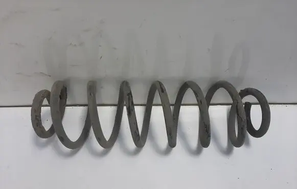 Rear coil spring