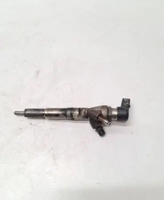Dacia Duster Fuel injector H8201100113 166006212R