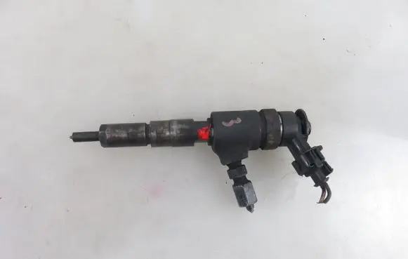 Peugeot 206 Fuel injector 0445110252